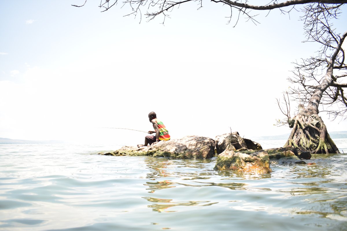 The Shore