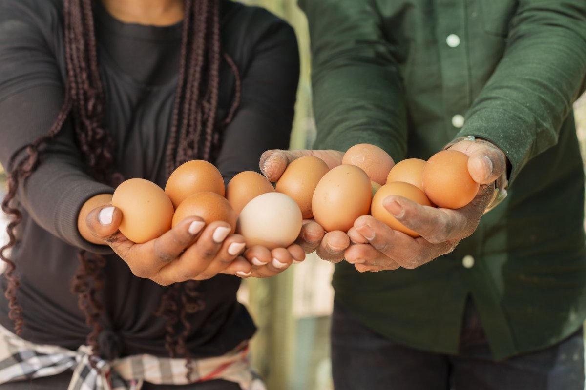 Black couple holding fresh farm eggs