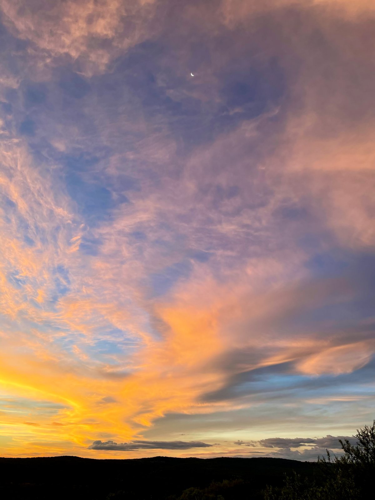 Spot the Moon