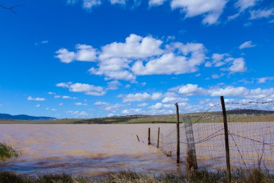Blue Skies and Coffee