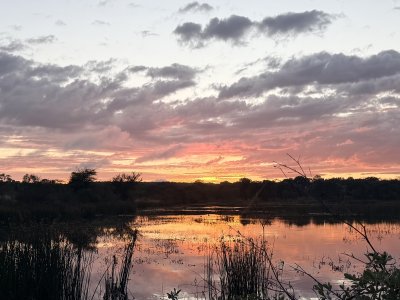 Morning Sunrise