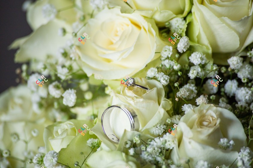 Diamond Ring Inside Red Rose Taken Stock Photo 172924847 | Shutterstock