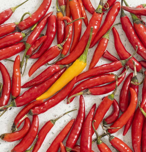 Flat of yellow chilli in the middle of red chillis