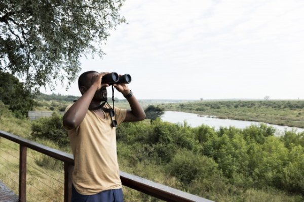 Black man watching wildlife through binoculars