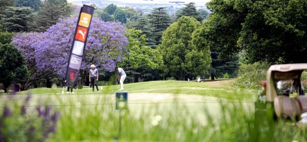 Two male golfers playing golf on a sunny day with green trees in summer