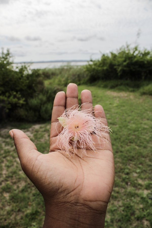 Isimangaliso Wetlands Park - Hand