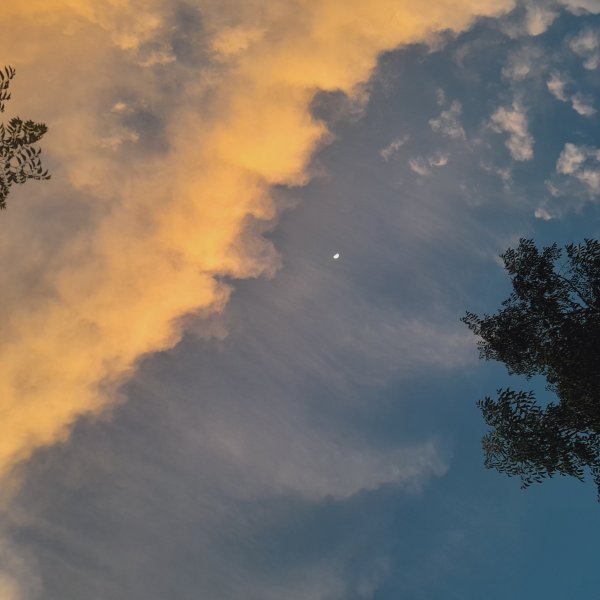 Nature's master piece.