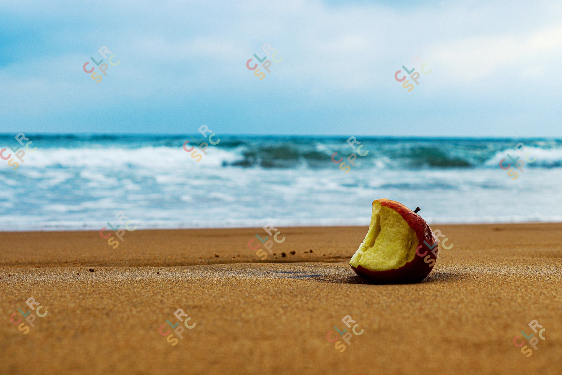 apple on shore