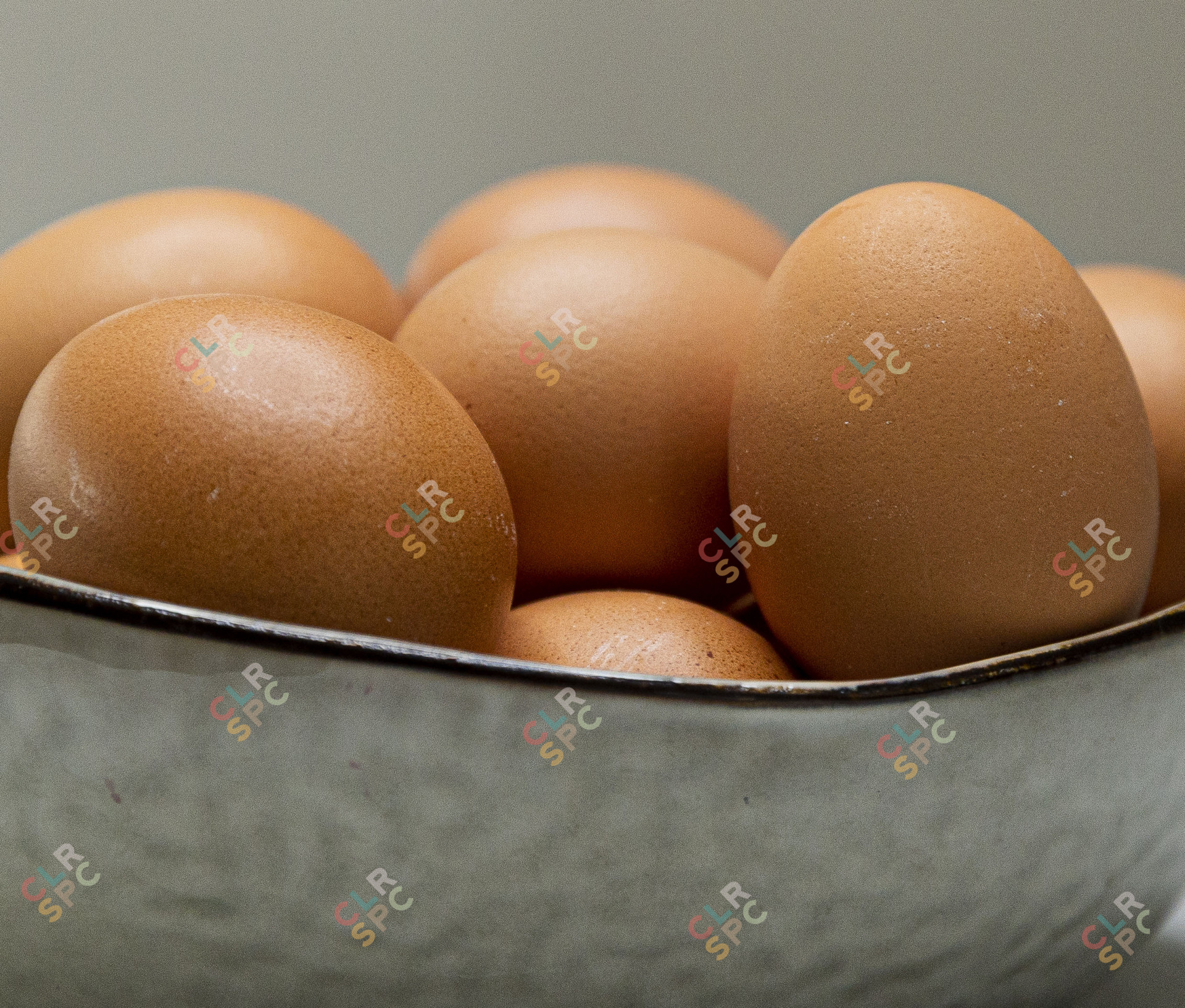 Chicken eggs in a bowl