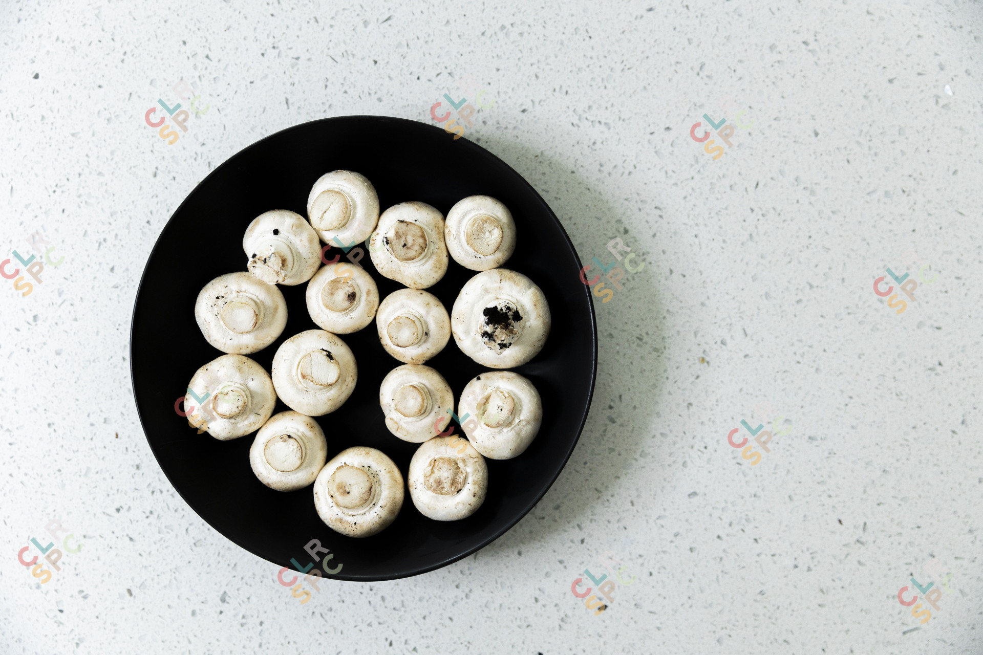 Plate of raw mushrooms