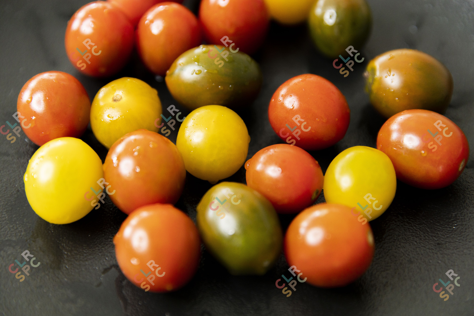 Red and yellow tomatos
