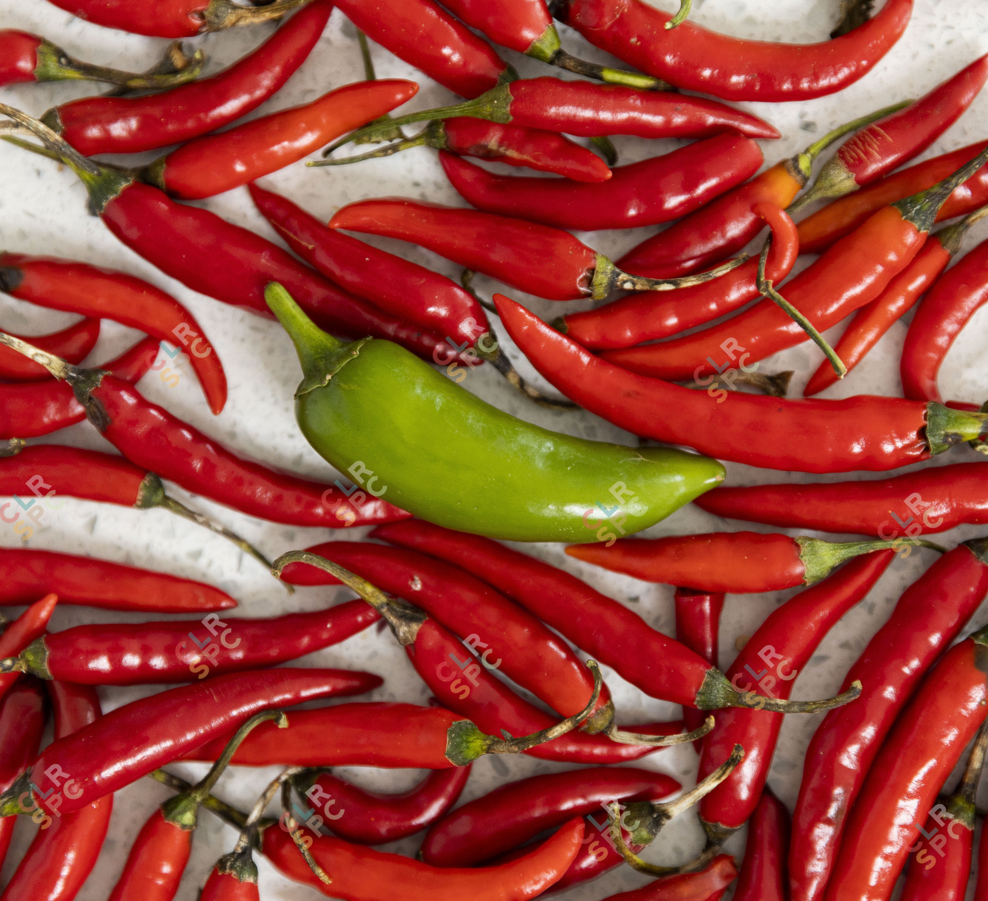 Green chilli in the middle of red chilli