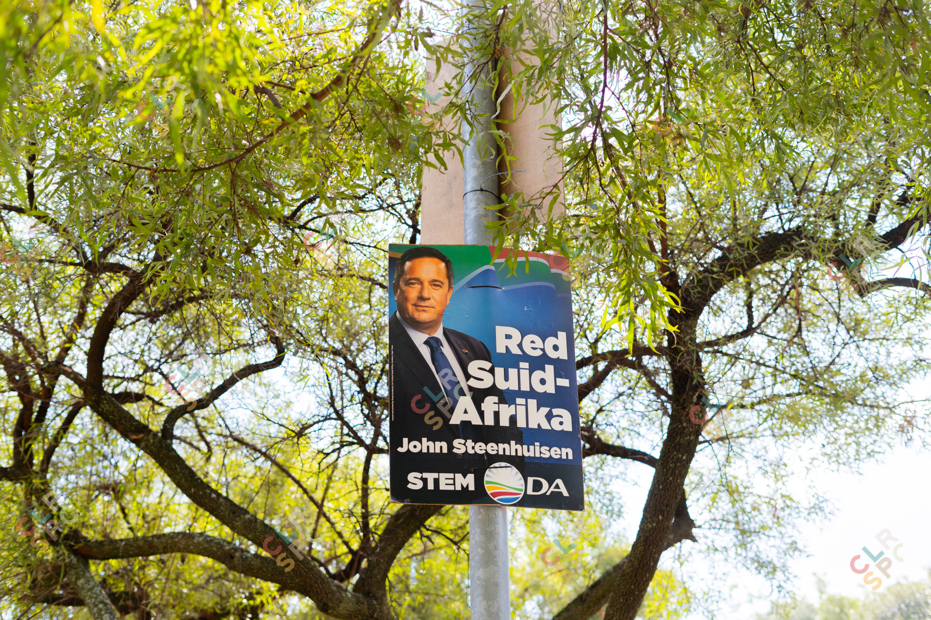 Vote DA sign on a pole amongst trees