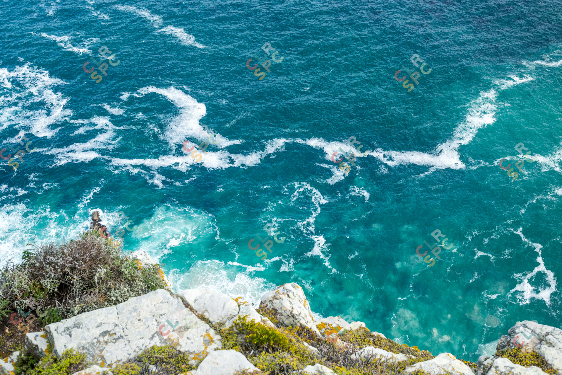 Views from Cape Point Light house