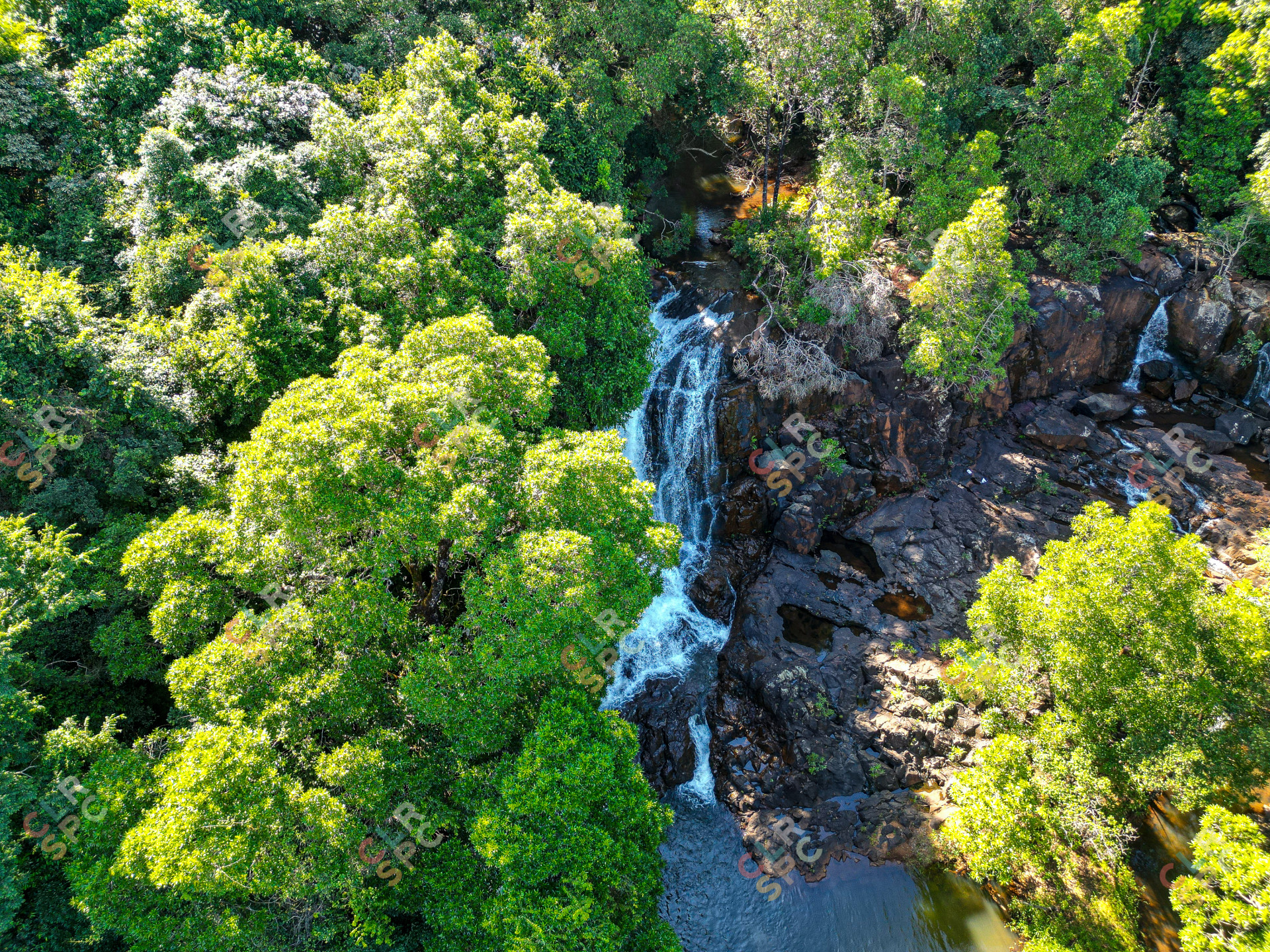 Drone photo of waterfall with trees