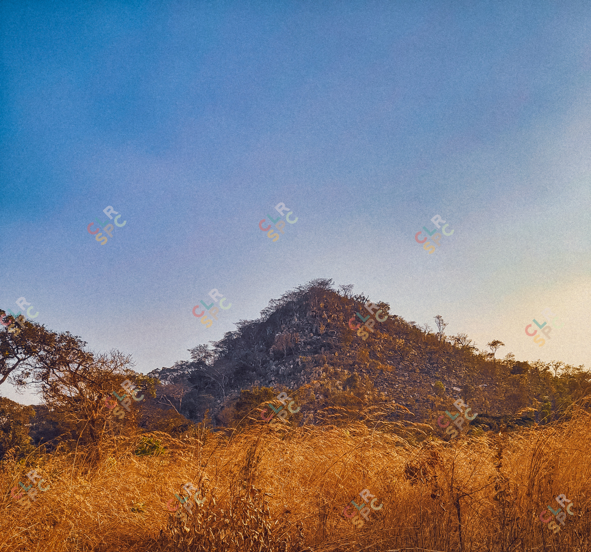 Golden mountains of mkushi