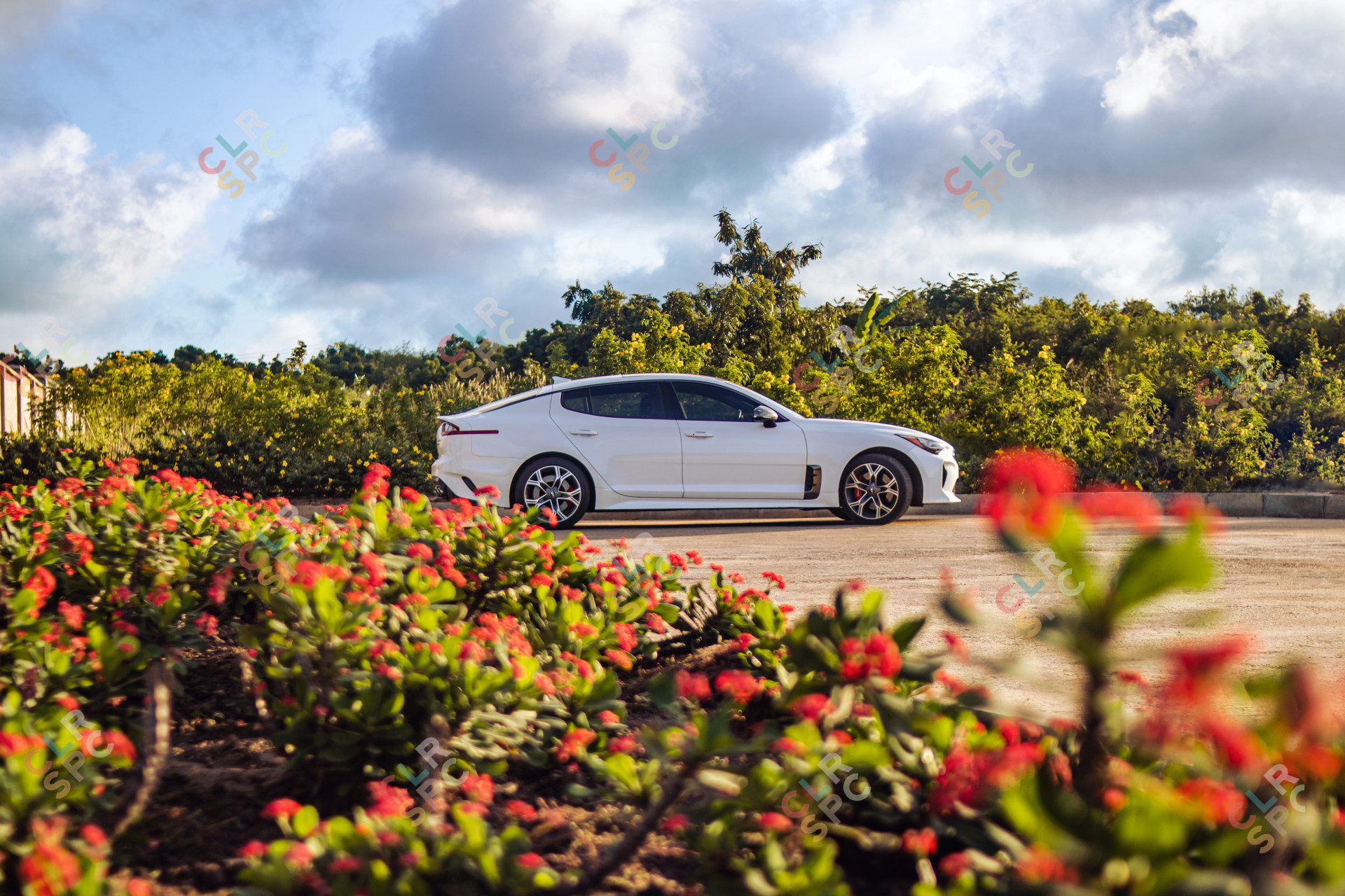 A KIA Stinger in a  Garden of a Cemetery