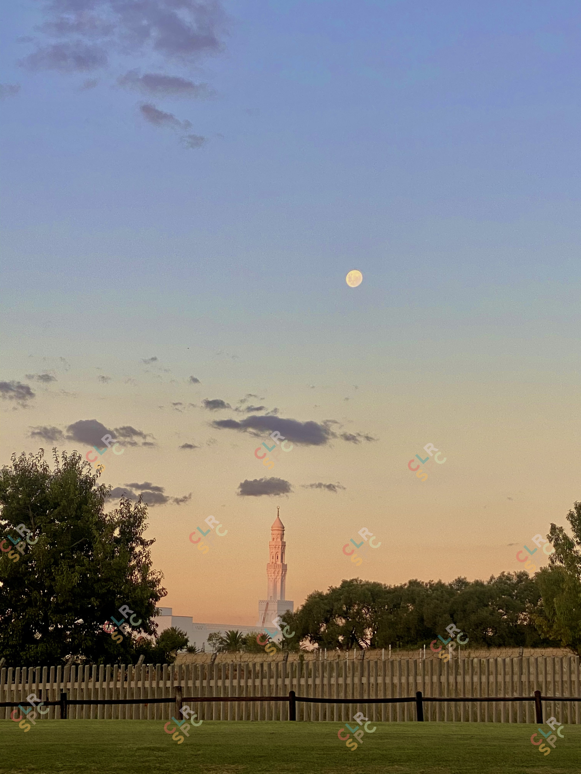 The moon and the mosque