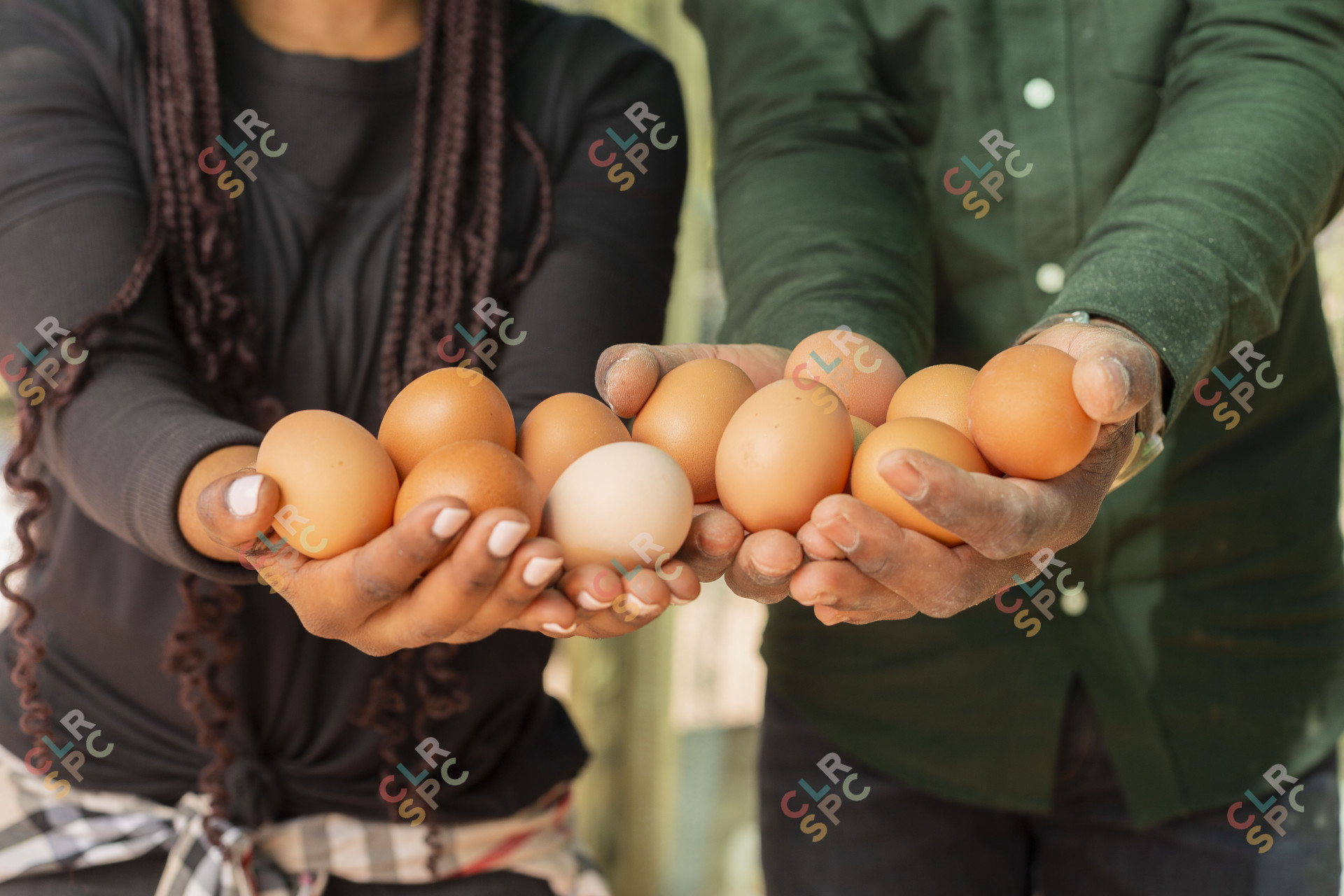 Black couple holding fresh farm eggs