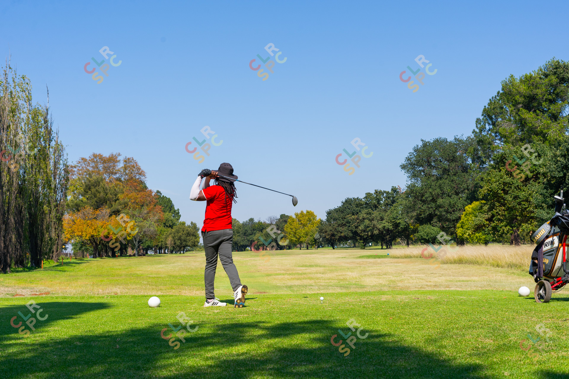 Black golfer wearing a red golf shirt on the golf course