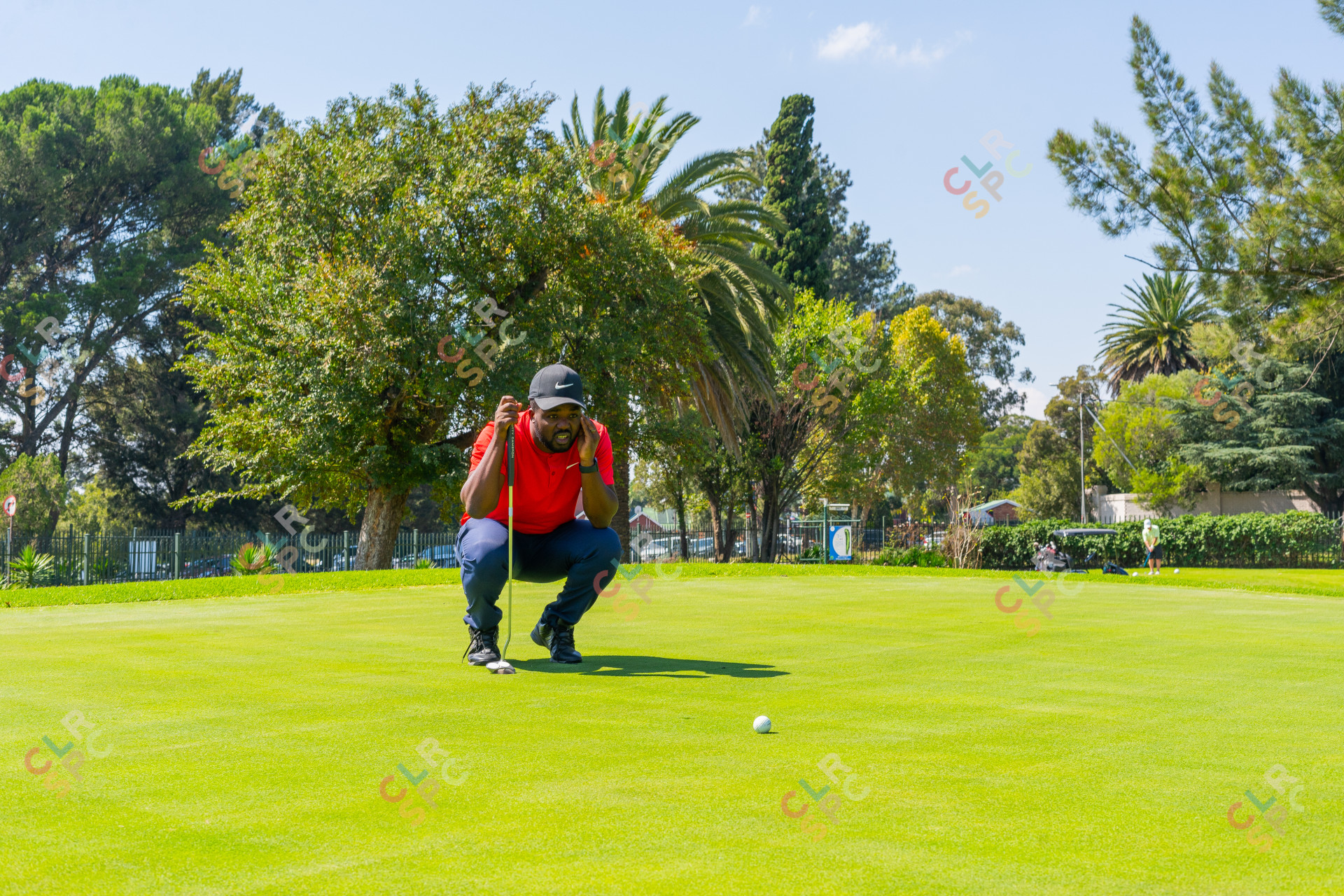 Black male golfer wearing a red golf shirt on the golf course putting