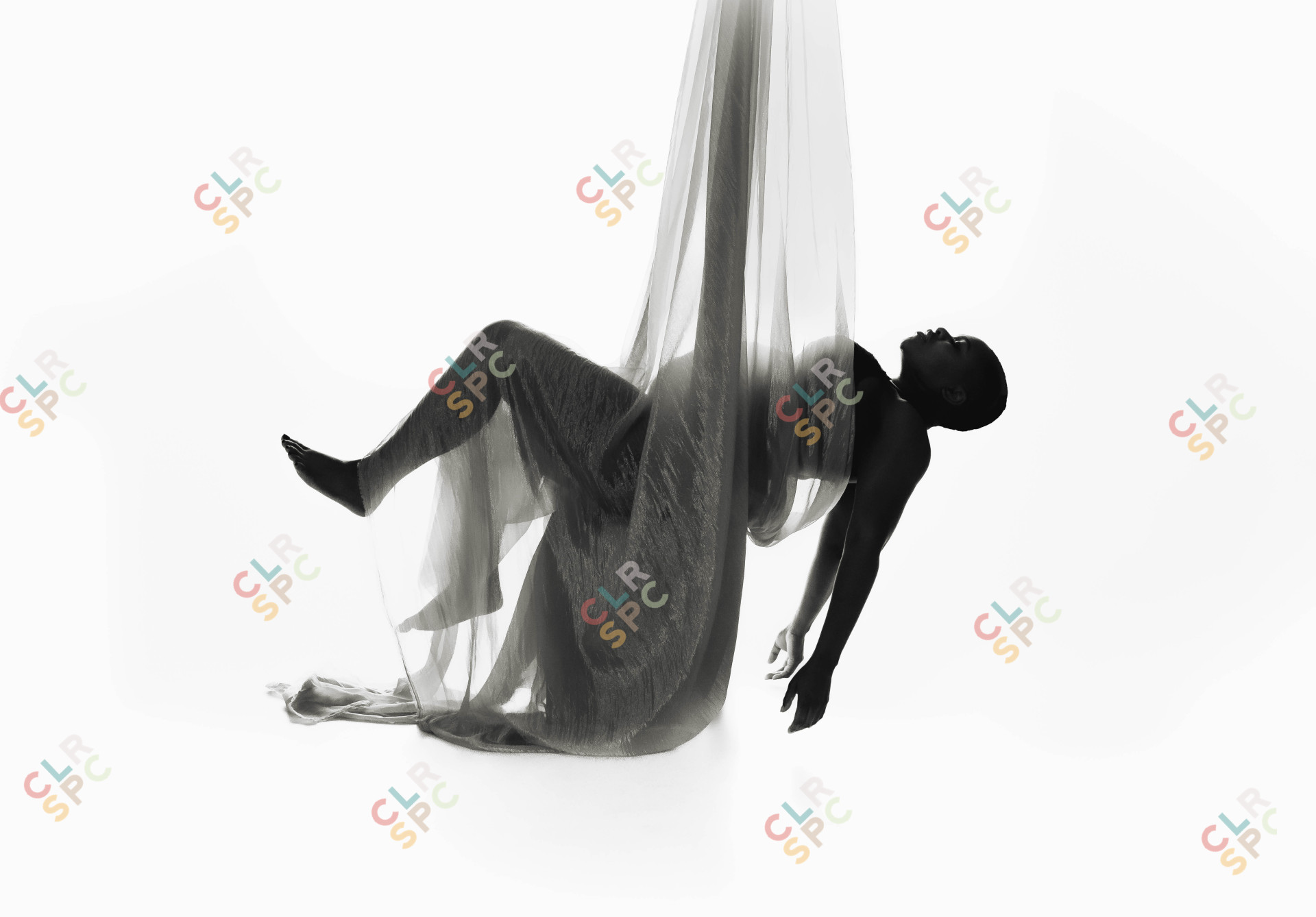 Hanging From Ceiling Portrait