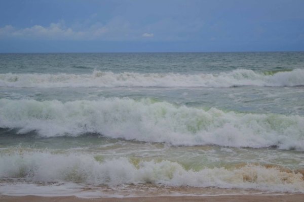 Wade in the water II