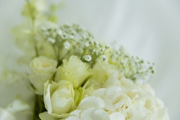 White roses with a warm feel